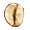 bean