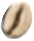 bean